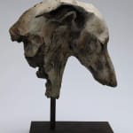 Nichola Theakston, Sacred Langur 2