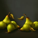 René Smoorenburg - Peren
