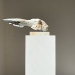 Nichola Theakston
