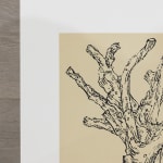 Ai Weiwei, Cedar (small), 2022