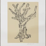 Ai Weiwei, Cedar (small), 2022