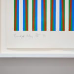 Bridget Riley, Firebird, 1971