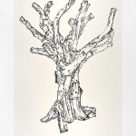 Ai Weiwei, Cats (Black), 2022