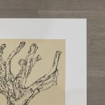 Ai Weiwei, Cedar (small), 2022