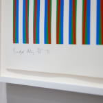 Bridget Riley, Firebird, 1971