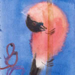Claire Harkess Artist, Painting, Scottish Art