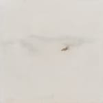 Studio Hermano, Tòtem, 2024