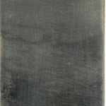 Sofie Steegen, Pick my flower, 2025