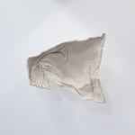 Zoé Brisset, Zone cramée, 2025