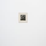 Sarah Schumann, Untitled Shock Collage, 1967