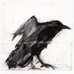 Ying Ge Zhou, Untitled, n.d.