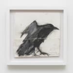 Ying Ge Zhou, Untitled, n.d.