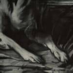 David Sipress, Why So Downward Facing, Dog?, 2014