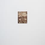 Lisa Beck, Sunspot, 2024
