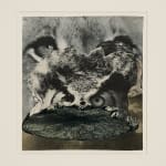 Sarah Schumann, Untitled Shock Collage, 1967