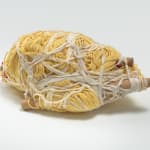 Tony Pedemonte, Untitled, 2014