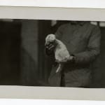 Yukio Futagawa, Six Views of Frank Lloyd Wright Architecture, 1980s