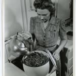 Yukio Futagawa, Six Views of Frank Lloyd Wright Architecture, 1980s