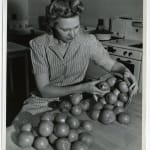 Yukio Futagawa, Six Views of Frank Lloyd Wright Architecture, 1980s