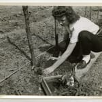 Yukio Futagawa, Six Views of Frank Lloyd Wright Architecture, 1980s