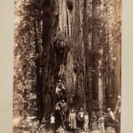 Aurelius O. Carpenter, Disbound Album with Views around Mendocino County, c. 1882