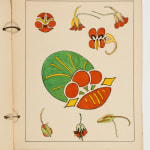 [New Age], Large Collection of Printed Matter Related to Numerous Mystical, Metaphysical and Spiritualist Groups in the Midwest and Elsewhere,...
