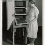 Yukio Futagawa, Six Views of Frank Lloyd Wright Architecture, 1980s