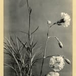 Margaret Florence Harker, The Shape of Things which Come, 1944