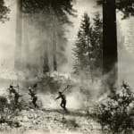 [U.S. Forest Service], An archive with over 150 photographs which focus on wildfire prevention, land management, and forestry reclamation practices...