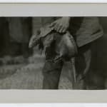 Yukio Futagawa, Six Views of Frank Lloyd Wright Architecture, 1980s