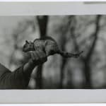 Yukio Futagawa, Six Views of Frank Lloyd Wright Architecture, 1980s