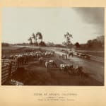 [New Age], Large Collection of Printed Matter Related to Numerous Mystical, Metaphysical and Spiritualist Groups in the Midwest and Elsewhere,...