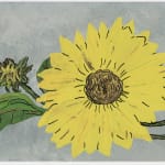 Ed Ruscha, (Ed - Werd Rew - Shay) Young Artist, 1972