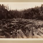 Aurelius O. Carpenter, Disbound Album with Views around Mendocino County, c. 1882