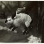 Yukio Futagawa, Six Views of Frank Lloyd Wright Architecture, 1980s