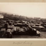 Aurelius O. Carpenter, Disbound Album with Views around Mendocino County, c. 1882