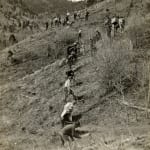 [U.S. Forest Service], An archive with over 150 photographs which focus on wildfire prevention, land management, and forestry reclamation practices...