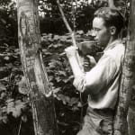 [U.S. Forest Service], An archive with over 150 photographs which focus on wildfire prevention, land management, and forestry reclamation practices...