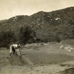 [U.S. Forest Service], An archive with over 150 photographs which focus on wildfire prevention, land management, and forestry reclamation practices...