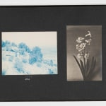 [Carmen Amaya], Pair of Dance Photographs of "The Human Vesuvius", c. 1945