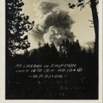Ed Ruscha, (Ed - Werd Rew - Shay) Young Artist, 1972