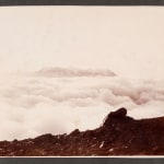 Ed Ruscha, (Ed - Werd Rew - Shay) Young Artist, 1972