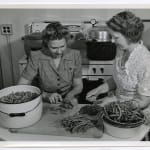 Yukio Futagawa, Six Views of Frank Lloyd Wright Architecture, 1980s