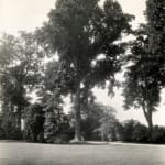 [U.S. Forest Service], An archive with over 150 photographs which focus on wildfire prevention, land management, and forestry reclamation practices...