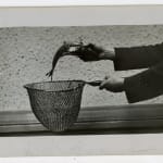 Yukio Futagawa, Six Views of Frank Lloyd Wright Architecture, 1980s