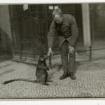 Yukio Futagawa, Six Views of Frank Lloyd Wright Architecture, 1980s