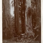 [New Age], Large Collection of Printed Matter Related to Numerous Mystical, Metaphysical and Spiritualist Groups in the Midwest and Elsewhere,...
