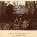 [New Age], Large Collection of Printed Matter Related to Numerous Mystical, Metaphysical and Spiritualist Groups in the Midwest and Elsewhere,...
