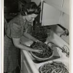 Yukio Futagawa, Six Views of Frank Lloyd Wright Architecture, 1980s