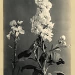 Margaret Florence Harker, The Shape of Things which Come, 1944